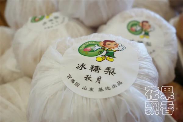 平均糖度11.8%,高價位下的秋月梨隱患 平均糖度11.8%,高價位下的秋月梨隱患