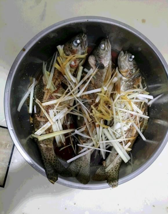 河北釣友深山溪流釣起許多“兇猛怪魚”,大的一斤多,野生虹鱒? 河北釣友深山溪流釣起許多“兇猛怪魚”,大的一斤多,野生虹鱒?