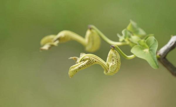 一生二，二生三，三生萬物，萬物於心