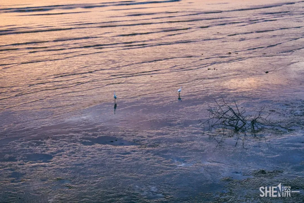 在深圳,必打卡的6個海濱棧道 在深圳,必打卡的6個海濱棧道