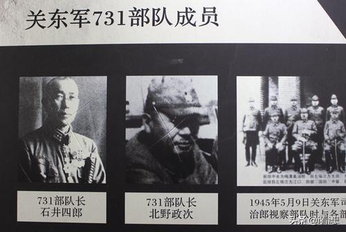 “731部隊細菌研究價值一般”,美被蘇點醒後,獨佔了731“大禮包” “731部隊細菌研究價值一般”,美被蘇點醒後,獨佔了731“大禮包”