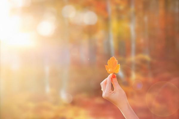 一個人命不好,有兩個原因 一個人命不好,有兩個原因