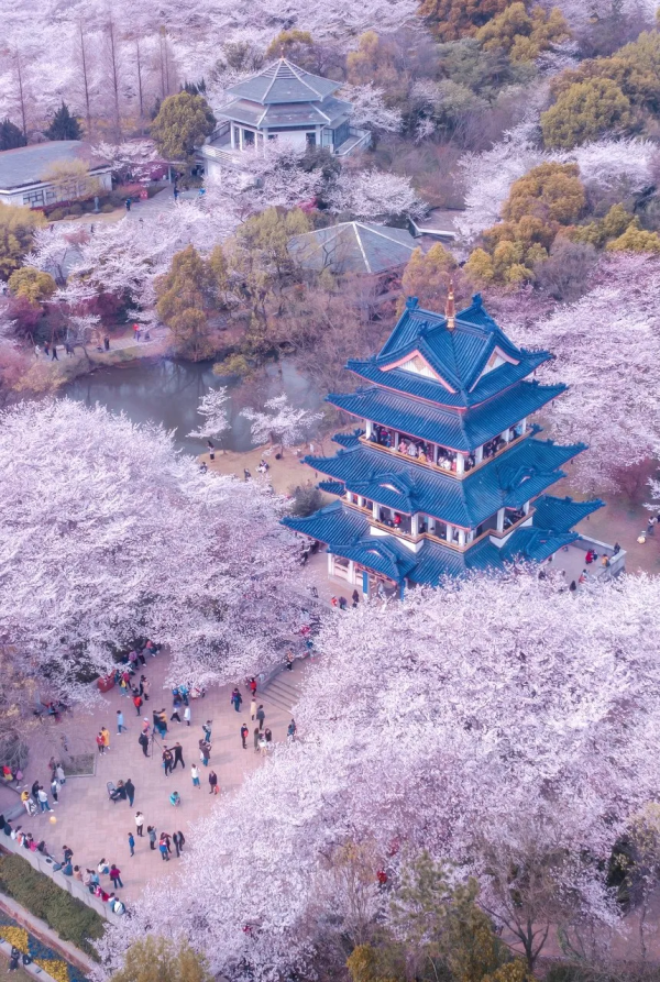 ​陽春3月，草長鶯飛！3月最值得去的12個旅行地，不需攻略，不費錢