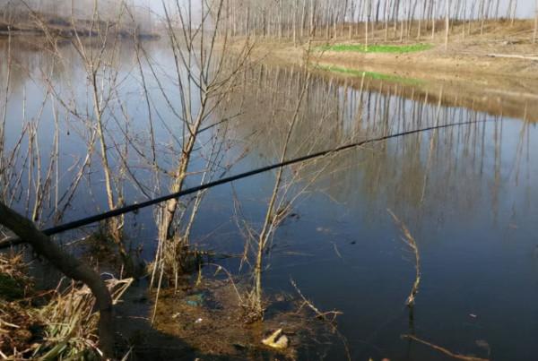 天冷釣鯽魚，冬天選這幾種天氣出門，最容易釣到大板鯽