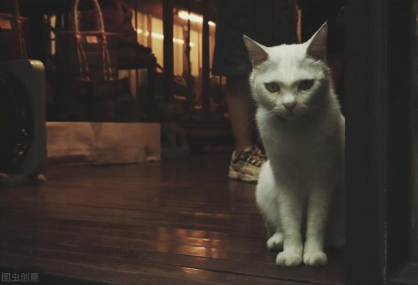 親人去世前會有預告嘛？看完這篇真人故事我希望你不要掩面哭泣