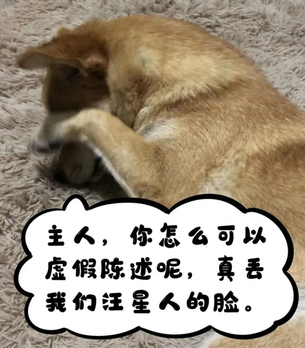 一隻小狗的委屈:我被大狗咬了,2000元的我不配有15000元的治療費?結局反轉…… 一隻小狗的委屈:我被大狗咬了,2000元的我不配有15000元的治療費?結局反轉……