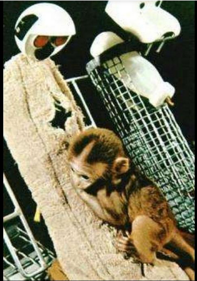 他哭任他哭，我看任我看，新育兒觀念？