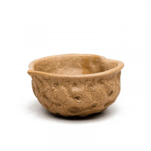 核桃，逼真嗎？