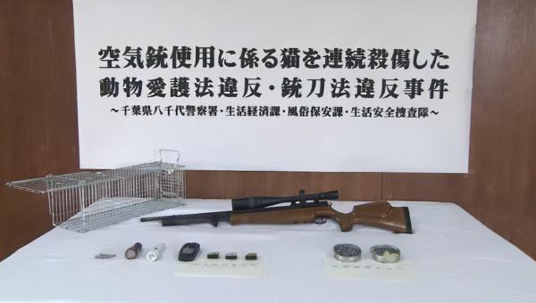 日本男3年虐殺近100只貓，被捕後毫無悔意：控制不住虐貓的愉悅