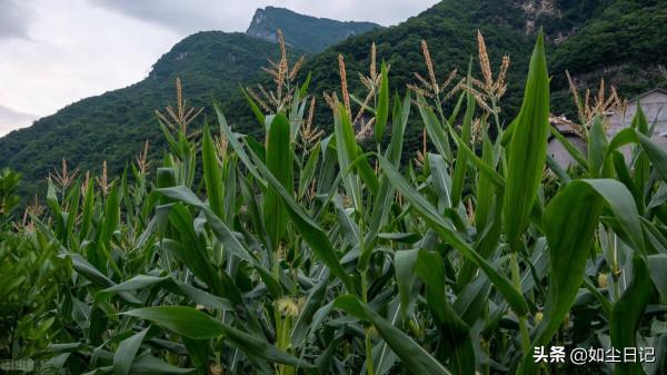 短篇小說:打賭 短篇小說:打賭