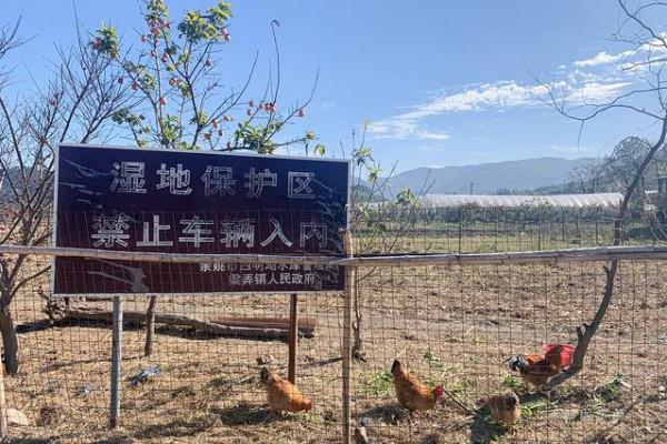 踏著深秋的落葉,去四明山來場自駕遊 踏著深秋的落葉,去四明山來場自駕遊