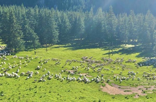 青海與甘肅交界，有座寶藏小縣城，幾乎包攬了兩地最美的風景