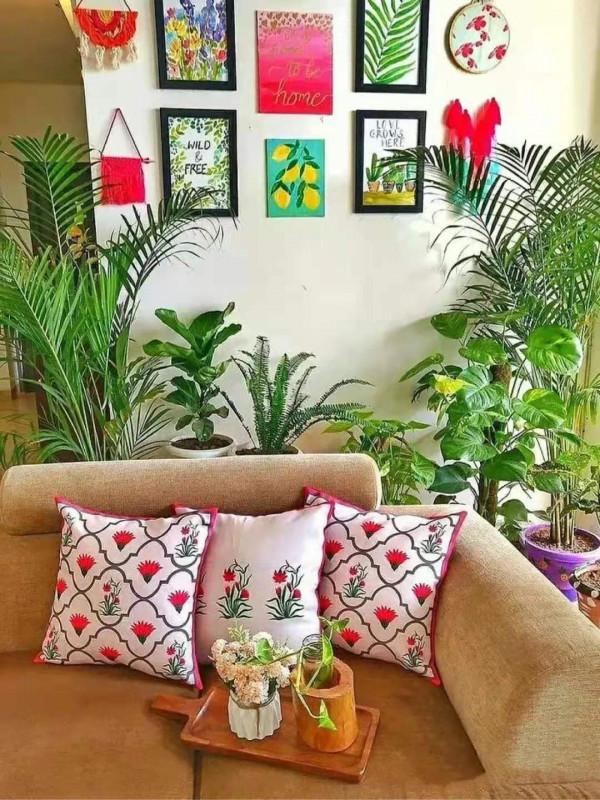 建議：適合客廳養的“大盆栽”，顯高階，幸福感倍增