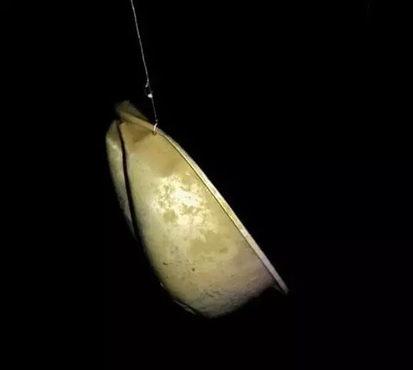 那些年,釣魚大佬們都釣到過什麼? 那些年,釣魚大佬們都釣到過什麼?