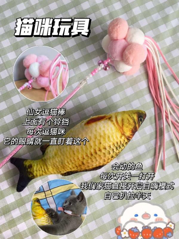 養貓人智商稅別交啦！注意這些