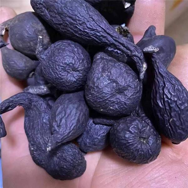 長在白蟻窩裡的菌類,價格比黃金還貴,為什麼挖到的人不願意賣? 長在白蟻窩裡的菌類,價格比黃金還貴,為什麼挖到的人不願意賣?