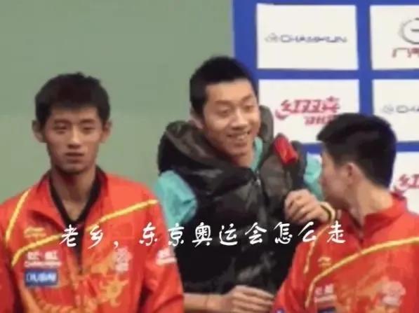 乒乓底板推薦（從入門到入土）