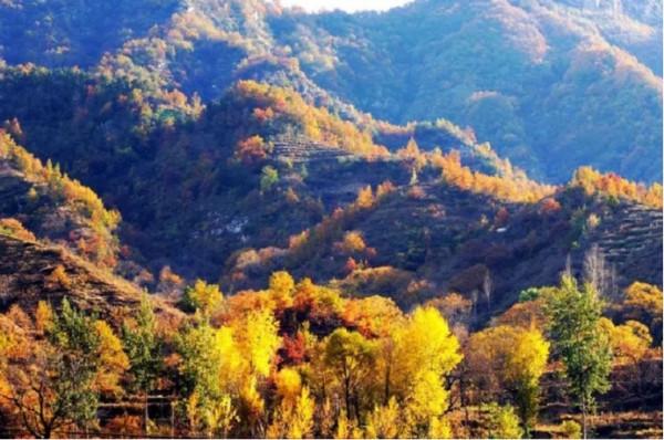 這個秋天,待疫情結束,牽手去旅行 這個秋天,待疫情結束,牽手去旅行