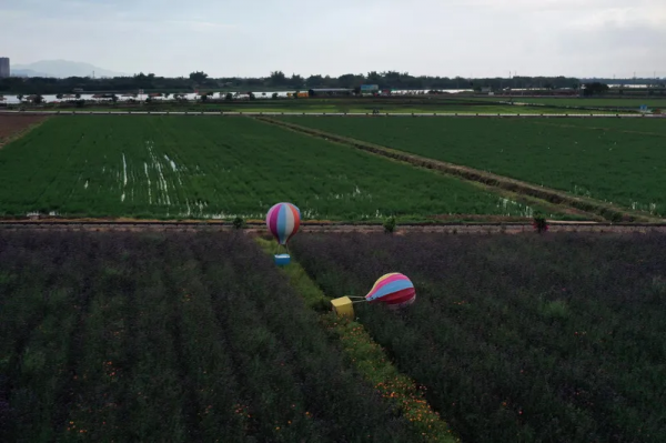 線上看展 | 粵江潮:韓江入海流 線上看展 | 粵江潮:韓江入海流