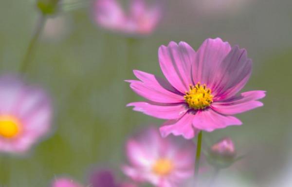 退休後的社交潛規則：儘量不去麻煩別人