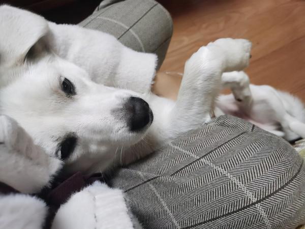 快樂的生活態度，就是哄自己開心