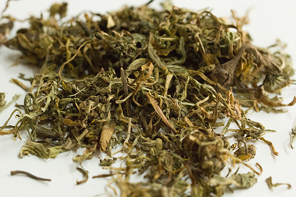 蒲公英根提取物可以抗癌，在48小時內殺死98％的癌細胞，可靠嗎？