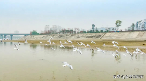 金堂來了一群特殊的客人