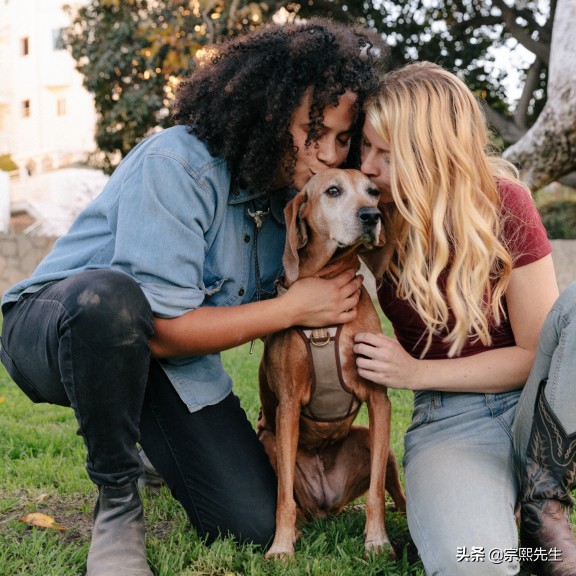 寵物狗走失不用發愁，Invoxia釋出智慧狗項圈，找回簡單高效