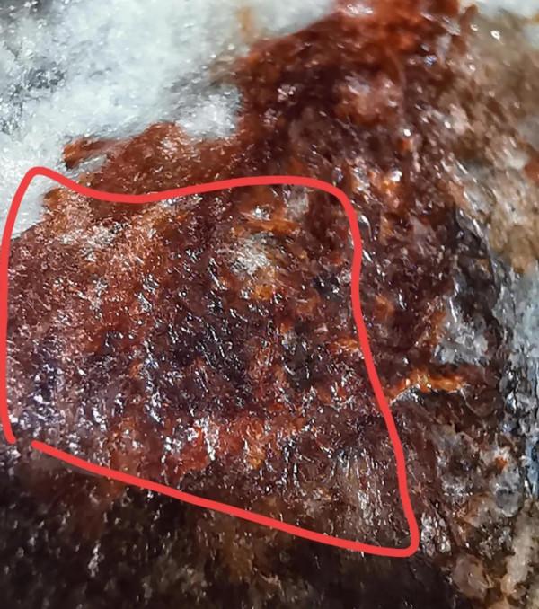 非常漂亮高古紅沁知了皮殼所表現的無法可仿本質特徵，跟仿品比較