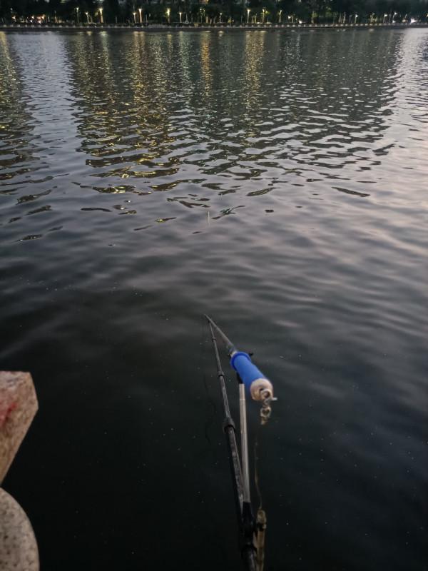 「雙11」半下午,一家人,一份餌,三條魚,盡享親子垂釣之樂… 「雙11」半下午,一家人,一份餌,三條魚,盡享親子垂釣之樂…