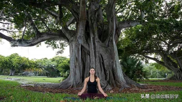 適合每天練習的11個瑜伽體式，見證身體的自愈