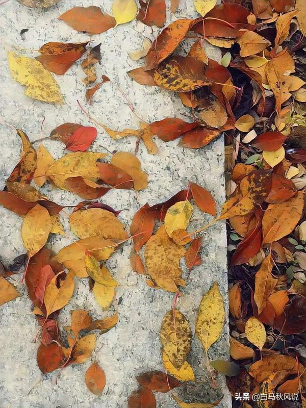 你走，我不送你