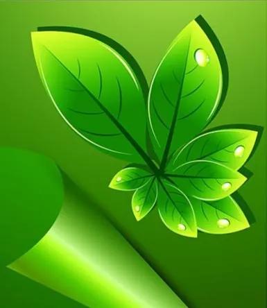 練太極拳基本原則