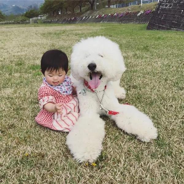 日本奶奶分享小孫女和三隻大狗狗的日常，治癒了56萬+網友…