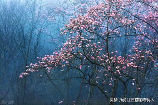 老馬的春天來了