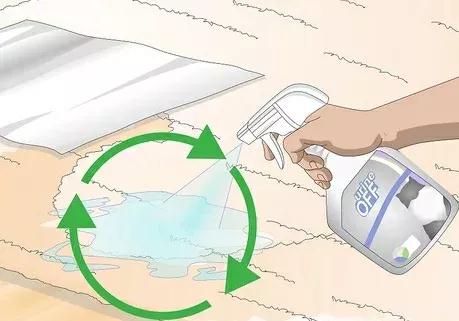 如何清除貓尿產生的汙漬