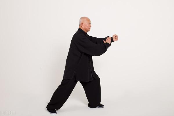 #習練太極#感悟“邁步如貓行”，象貓一樣靈巧、自信、沉穩