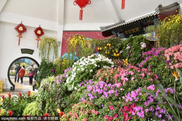 不出京賞春花，穿梭&OpenCurlyDoubleQuote;熱帶雨林&rdquo;，就在北京這些地方！