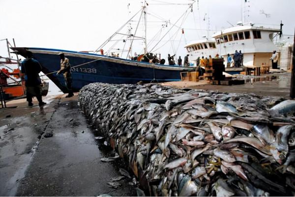 1996年一艘遠洋漁船上,船員怒殺船長,引得韓國總統親自下場辯護 1996年一艘遠洋漁船上,船員怒殺船長,引得韓國總統親自下場辯護