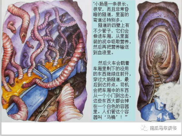 繪本《肚子裡有個火車站》:這個故事的感覺就是嘰裡咕嚕噼裡啪啦 繪本《肚子裡有個火車站》:這個故事的感覺就是嘰裡咕嚕噼裡啪啦