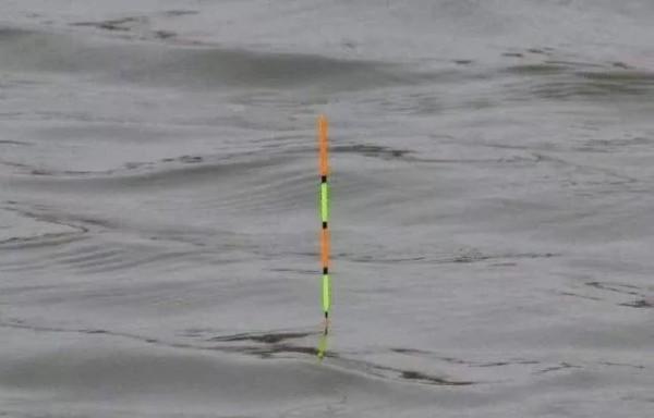 調漂難?掌握這4種方法,調漂變得很簡單,垂釣再也不空軍 調漂難?掌握這4種方法,調漂變得很簡單,垂釣再也不空軍