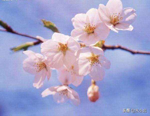 當你足夠優秀時，其實，人脈是水到渠成的事