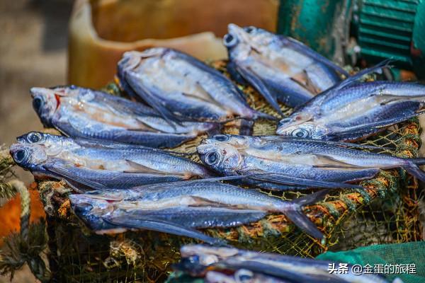 江浙地區海水最藍的大型列島，海鮮出名又是著名海釣勝地，漁山島