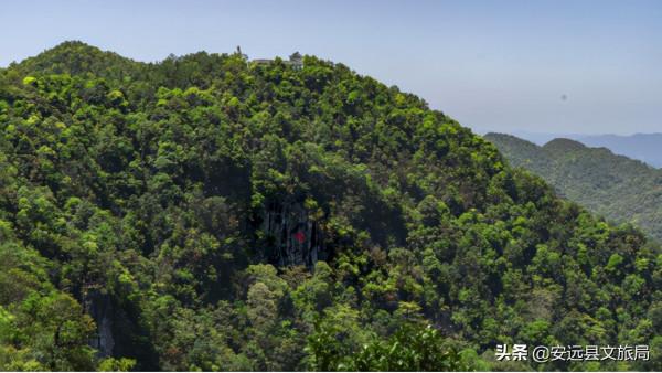 江西這個98%森林覆蓋率的“天然氧吧”,年均氣溫15.1℃,雲端之上的絕美林海超治癒! 江西這個98%森林覆蓋率的“天然氧吧”,年均氣溫15.1℃,雲端之上的絕美林海超治癒!