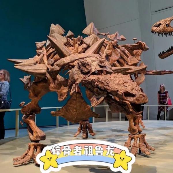 “脛骨毀滅者”,殘暴的名字,有趣的龍 “脛骨毀滅者”,殘暴的名字,有趣的龍