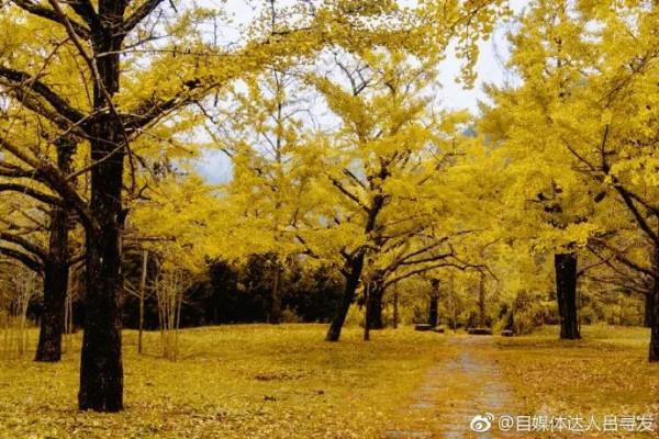 2021“冬遊廣西”正式啟動！