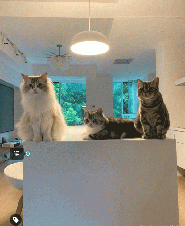 5年後在上海置換第2套房，想要的法式+輕復古，通通實現