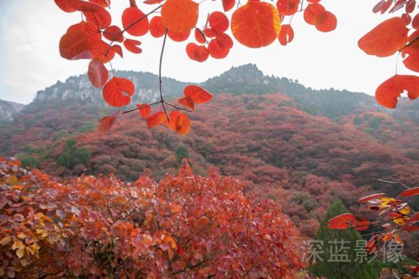 石門坊最美紅葉 石門坊最美紅葉