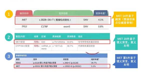 MET靶向藥已經在中國獲批，如何辨別檢測報告中的MET 14號外顯子跳躍突變？