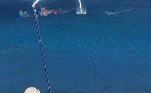 滿精漁獲依舊一籌莫展？這幾條心得助你精準釣魚快速拿貨